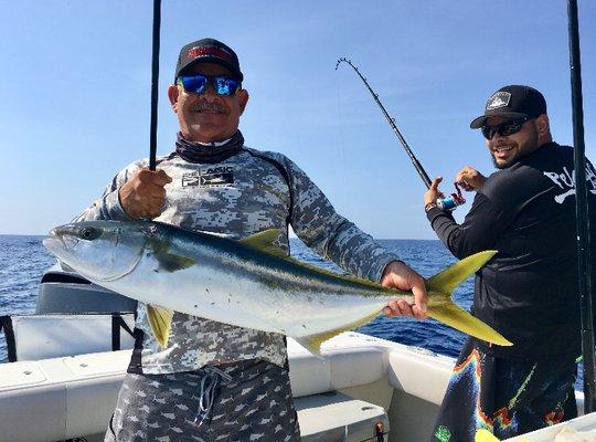 Yellowtail! Mostly available on Full Day trips but every once in a while we get them on Half Day trips!