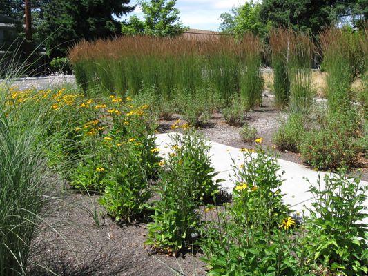 Demonstration Garden using native plants, which require less water resource to thrive.