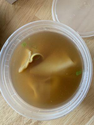 Wonton Soup