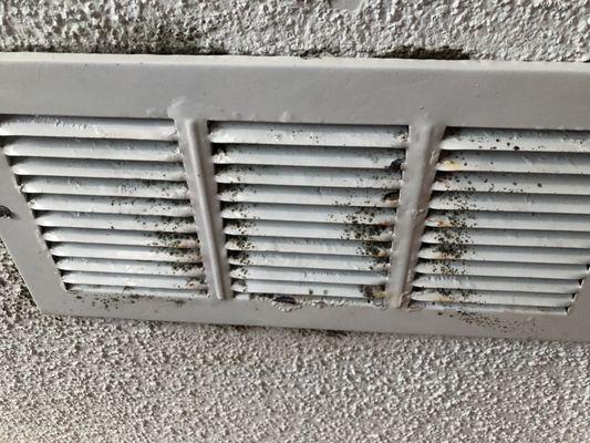 Mold on vents