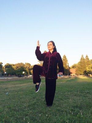 Teaching Tai Chi