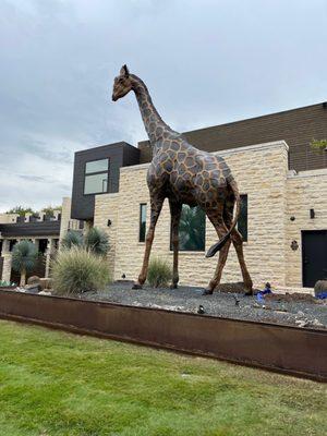 Huge giraffe sculpture that actually pees water! Hilarious!!