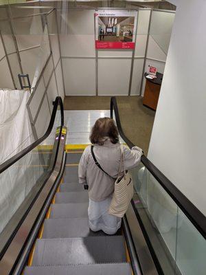 Escalator to main floor.