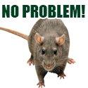 Call Today for a Free Rodent Inspection and Estimate.