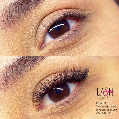 M Curl Lashes