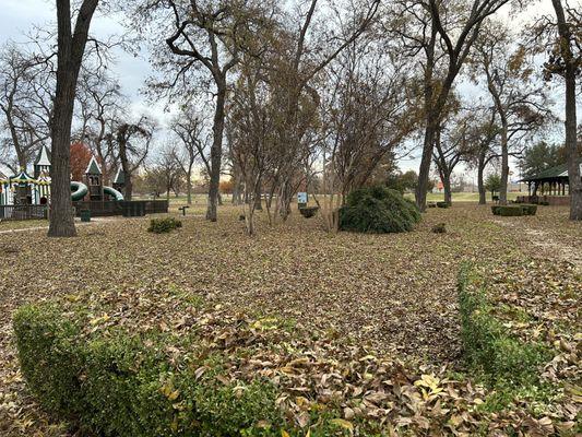 More park and the fenced playground to the left