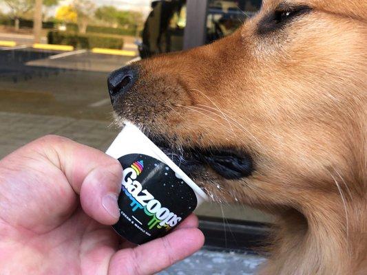 Pup ice cream cup