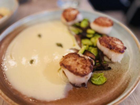 Pan Seard New Bedford Sea Scallop, $56