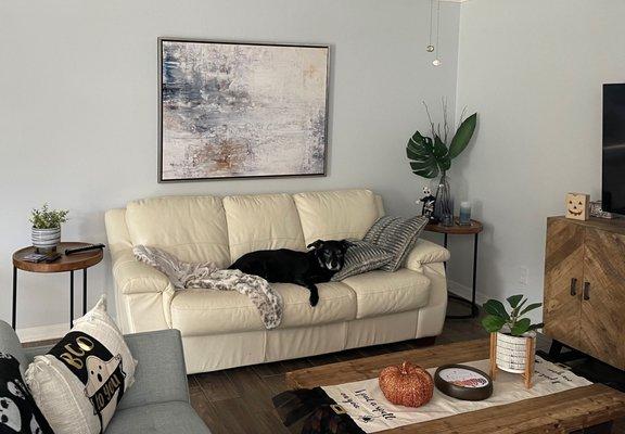 Dwell Art above couch.  And, cute dog who loves the Dwell pillows.