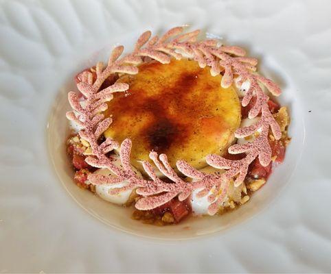 Creme brûlée w. rhubarb, white chocolate crémeux, ginger granita & macadamia