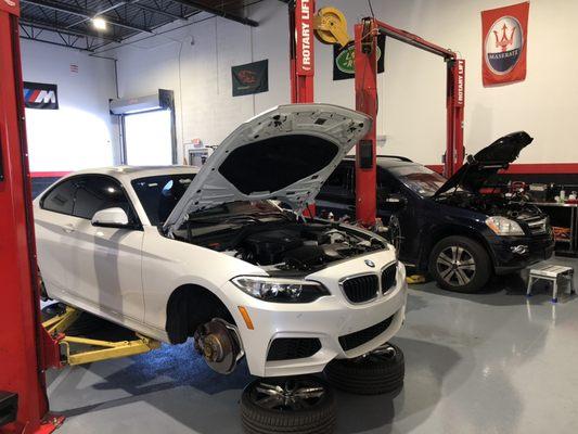 Performing brakes on a BMW and taking care of oil leaks on a Mercedes Benz.