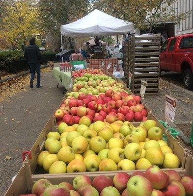 Farmer's Market