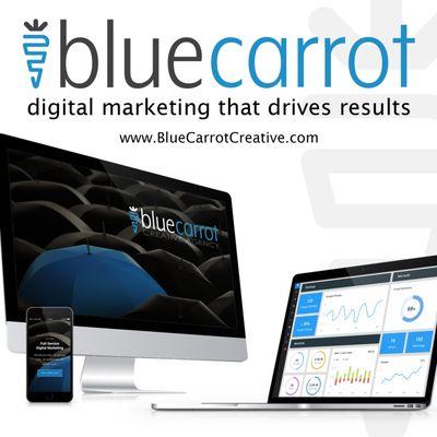 Blue Carrot Creative | Full-Service Digital Marketing for Small & Medium-Sized Local Businesses.