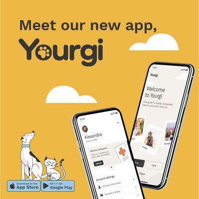 We've unleashed our new app, Yourgi - Filled with features that will make your tail wag! Learn more at www.bowwowlounge.com/our-yourgi-app.