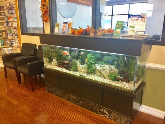 Fish tank inside the PHARMACY..kinda cool I know!! :)