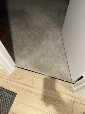 Seamless transition from vinyl floor to carpet.