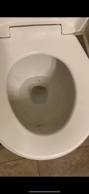 Dirty toilet