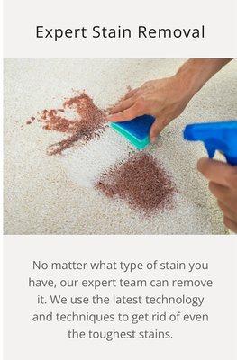 Expert stain removal