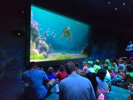 Kids are encouraged to sit on the floor in front of the screen