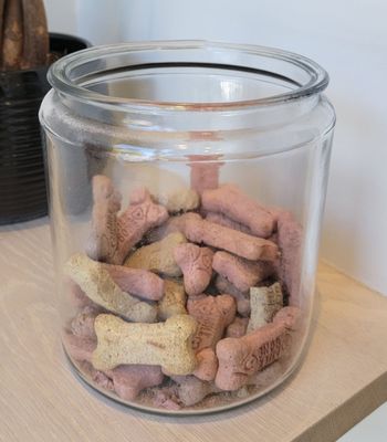 dog treats for your dog