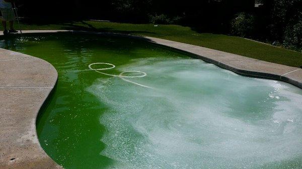 Applying chemicals to save this pool from needing to be drained