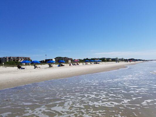 Hilton Head Beach