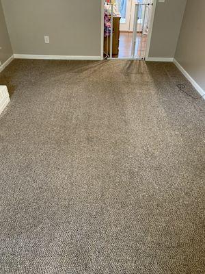 Living room after we had another company come clean carpets.