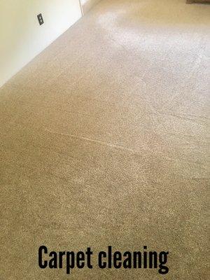 Carpet Cleaning