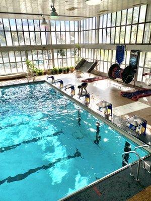 Welles Park indoor pool