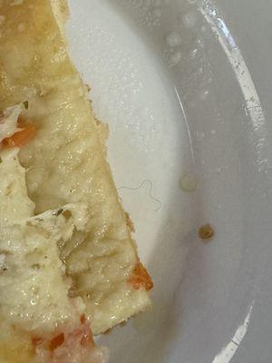 Found a strand of hair in the pizza