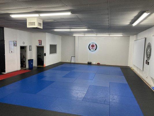 Large Mat area from entrance.