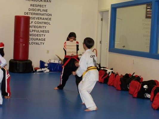 Yellow Belt Test