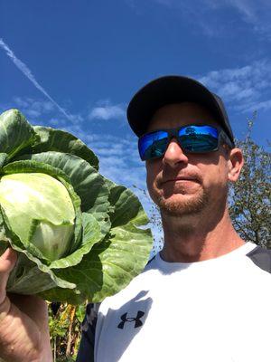 Farmer Brock with a fresh head of cabbage right out if the garden