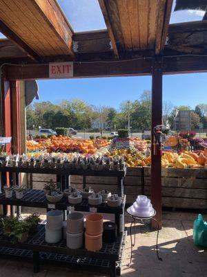 Reston Farm Garden Market