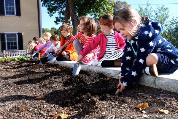 Primary School students planting a garden in the spring.