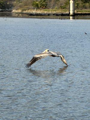 Malibu Lagoon State Beach