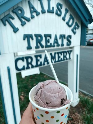 Black raspberry choc chip - bomb