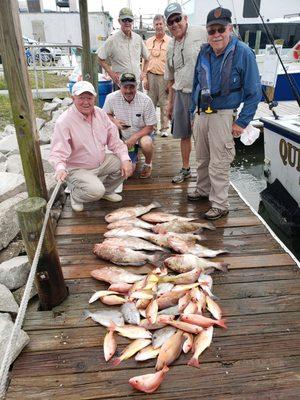 Queen Conch Charters