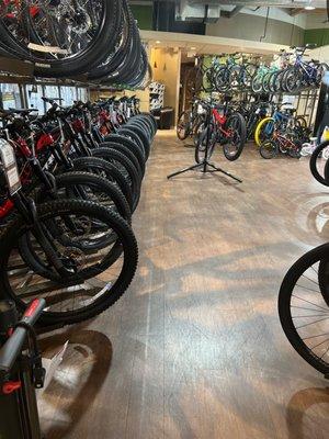 Lots of great bikes, maintenance accessories, etc...