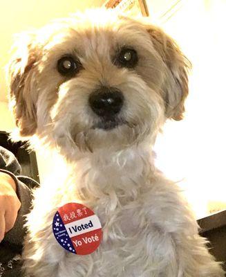 Koko says #rockthevote