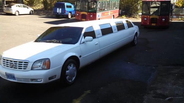 10 Passenger Cadillac Cloud Stretch Limousine.