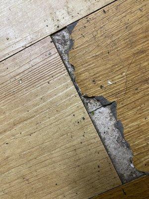 Damaged floor