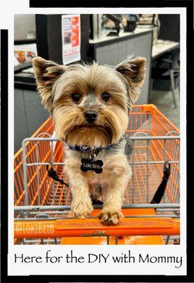 Home Services at the Home Depot