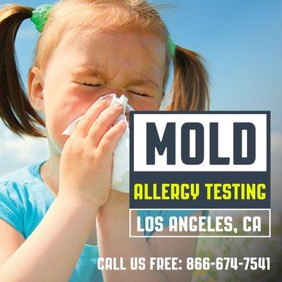 Is Mold Causing Indoor Allergies within your home?  Find out more today --