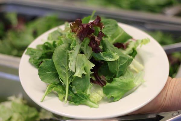 Our salads are always fresh, everyday