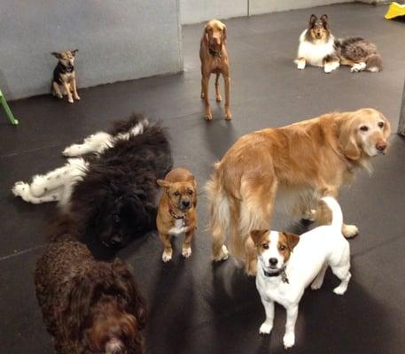 Just hanging out in daycare.