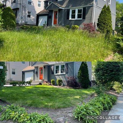 Here we have a simple before and after of an overgrown lawn