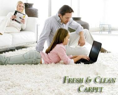 Clean and Fresh Carpet for the Family