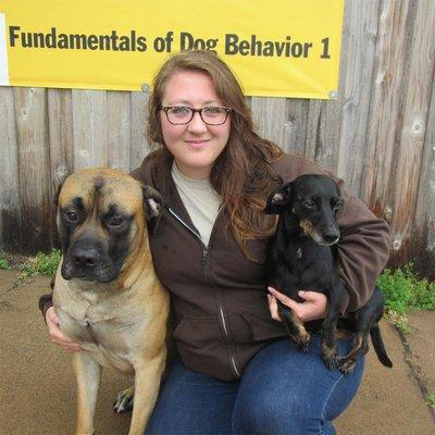 The best way for a dog to learn is through consistency. Your whole family is invited to come to the Blaine Kennels Boarding, ...