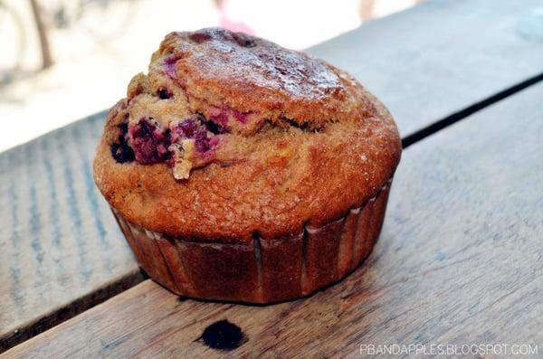 whole wheat fruits muffin